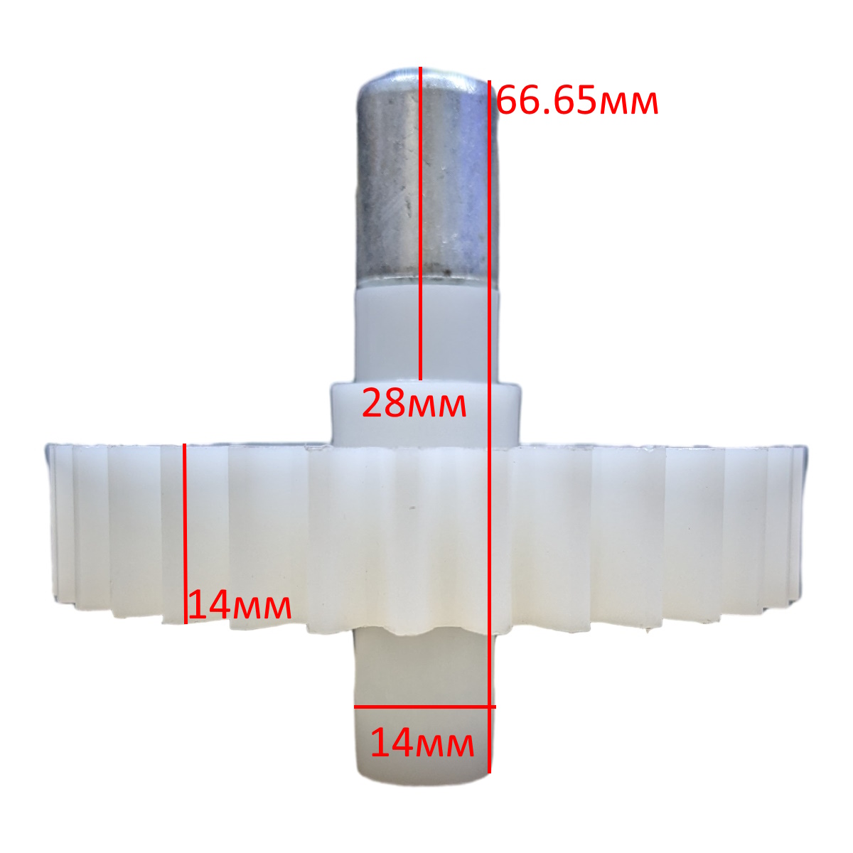 Шестерня мясорубки (шнека) Ø71/14, H66.65/14 Z34 Dexp, Centek, Moulinex, Redmond